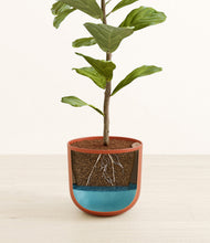 Load image into Gallery viewer, Earth Red