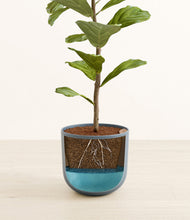 Load image into Gallery viewer, Iron Gray