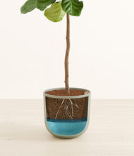 Load image into Gallery viewer, Sage Green