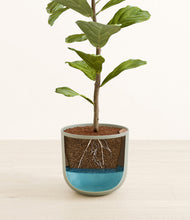 Load image into Gallery viewer, Sage Green