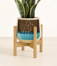 Load image into Gallery viewer, Almond Green stand:bamboo