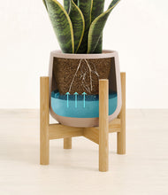 Load image into Gallery viewer, Eternal Gray stand:bamboo