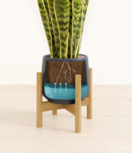 Load image into Gallery viewer, Deep Navy stand:bamboo