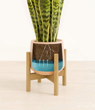 Load image into Gallery viewer, Gentle Pink stand:bamboo