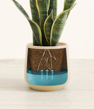 Load image into Gallery viewer, Almond Green