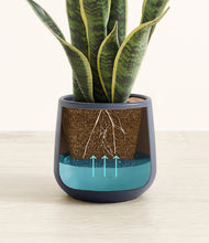 Load image into Gallery viewer, Deep Navy