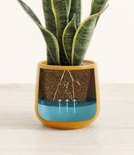 Load image into Gallery viewer, Mustard