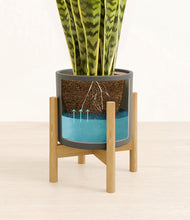 Load image into Gallery viewer, Dark Olive stand:bamboo