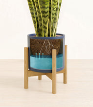 Load image into Gallery viewer, Deep Navy stand:bamboo