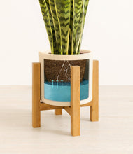 Load image into Gallery viewer, Cream stand:light