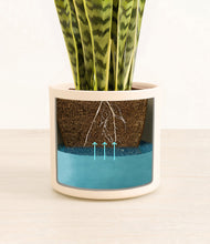 Load image into Gallery viewer, Cream