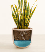 Load image into Gallery viewer, Sandy Pink