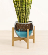 Load image into Gallery viewer, Deep Ocean stand:bamboo