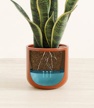 Load image into Gallery viewer, Glossy Red