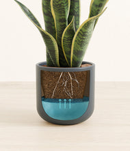 Load image into Gallery viewer, Iron Gray