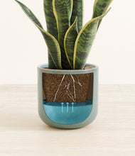 Load image into Gallery viewer, Reactive Aqua