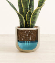 Load image into Gallery viewer, Sage Green