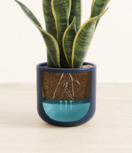 Load image into Gallery viewer, Twilight Blue