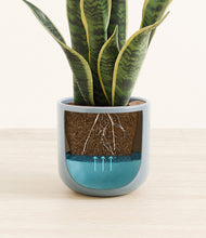 Load image into Gallery viewer, Misty Blue