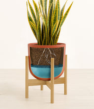 Load image into Gallery viewer, Earth Red stand:bamboo