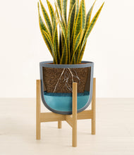 Load image into Gallery viewer, Iron Gray stand:bamboo