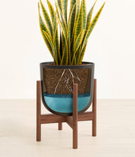 Load image into Gallery viewer, Stone Black stand:walnut