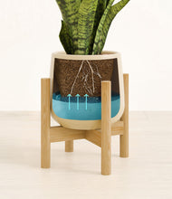 Load image into Gallery viewer, Almond Green stand:bamboo