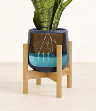 Load image into Gallery viewer, Deep Navy stand:bamboo