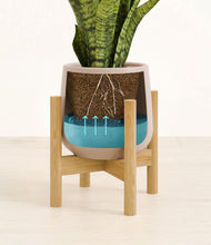 Load image into Gallery viewer, Eternal Gray stand:bamboo