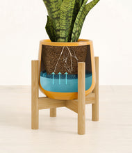 Load image into Gallery viewer, Mustard stand:bamboo