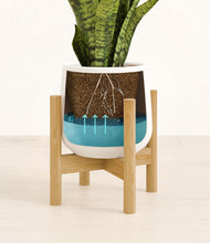 Load image into Gallery viewer, White stand:bamboo