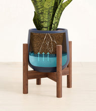 Load image into Gallery viewer, Deep Navy stand:walnut