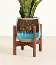 Load image into Gallery viewer, Eternal Gray stand:walnut