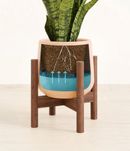 Load image into Gallery viewer, Gentle Pink stand:walnut