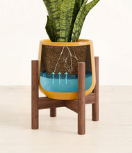 Load image into Gallery viewer, Mustard stand:walnut