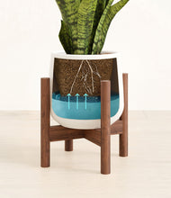 Load image into Gallery viewer, White stand:walnut