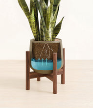 Load image into Gallery viewer, Olive stand:walnut