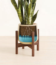 Load image into Gallery viewer, Almond Green stand:walnut