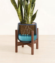 Load image into Gallery viewer, Deep Navy stand:walnut