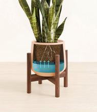 Load image into Gallery viewer, Gentle Pink stand:walnut