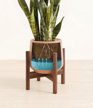 Load image into Gallery viewer, Calm Rose stand:walnut