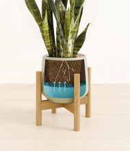 Load image into Gallery viewer, Turquoise stand:bamboo