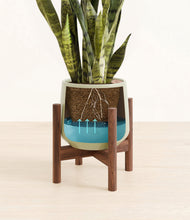 Load image into Gallery viewer, Turquoise stand:walnut