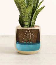 Load image into Gallery viewer, Almond Green