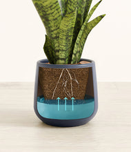 Load image into Gallery viewer, Deep Navy