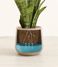 Load image into Gallery viewer, Eternal Gray