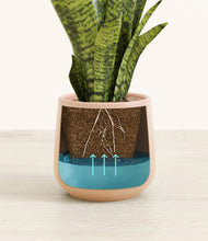 Load image into Gallery viewer, Gentle Pink