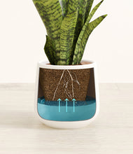 Load image into Gallery viewer, White