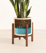 Load image into Gallery viewer, Cream stand:walnut