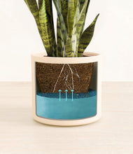 Load image into Gallery viewer, Cream